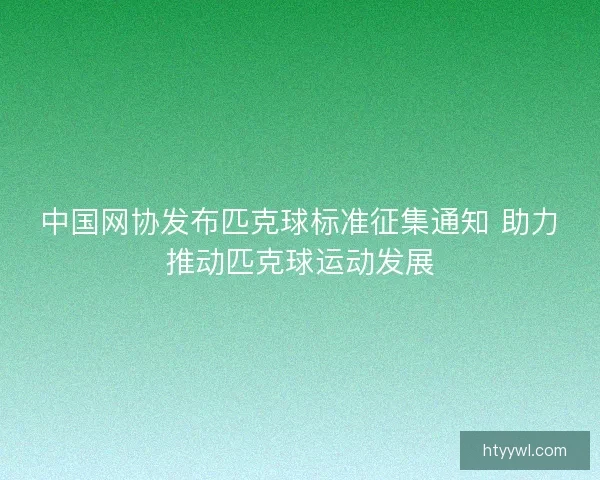 中国网协发布匹克球标准征集通知 助力推动匹克球运动发展